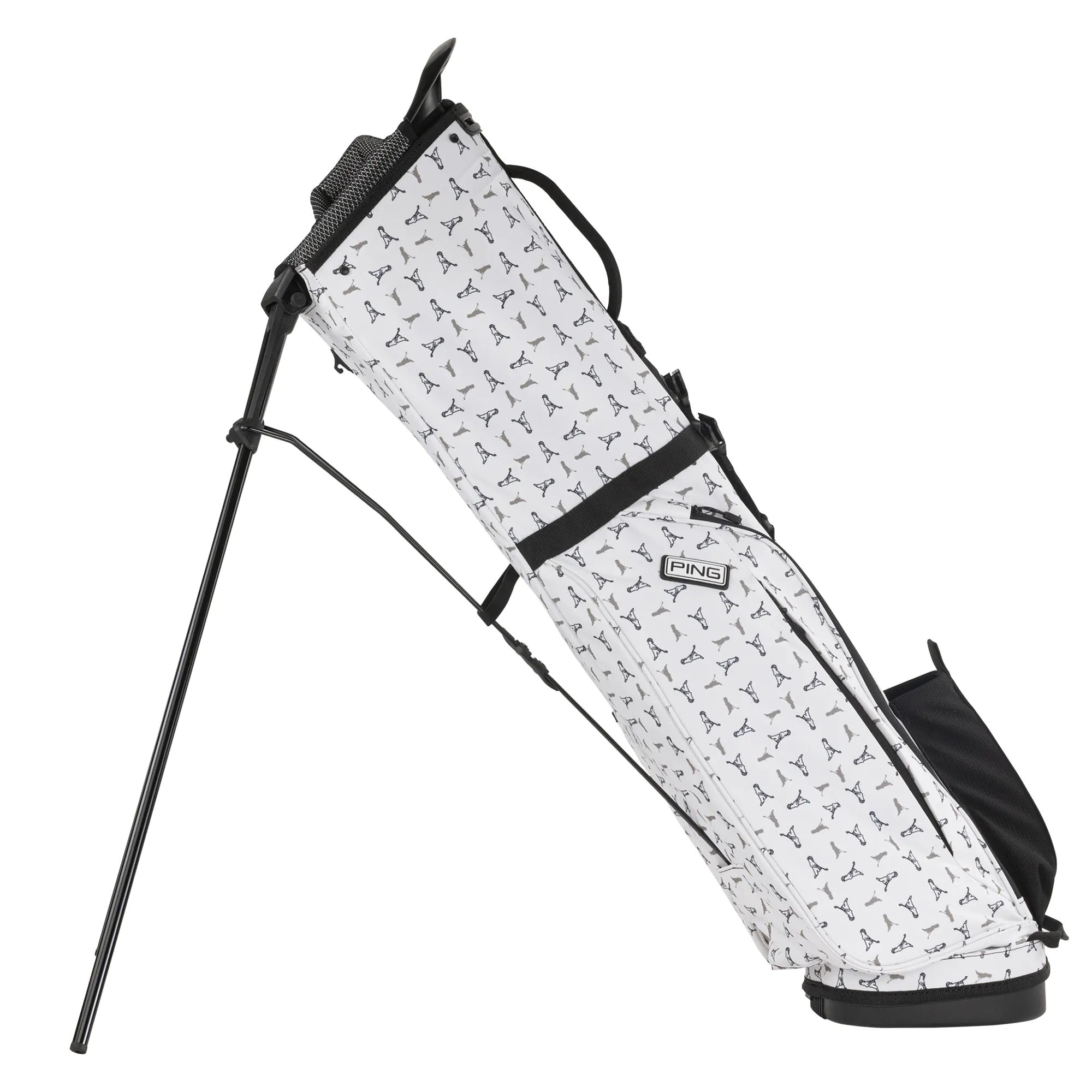 Ping Moonlander 244 Golf Stand Bag – PARZ
